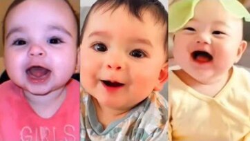 Tiny Veggie Babies Dance - Carrot Broccoli Potato Song for Toddlers